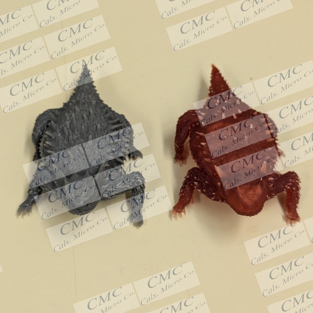 Resin cast horn toad lizard